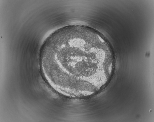 X0000111861022200909031746