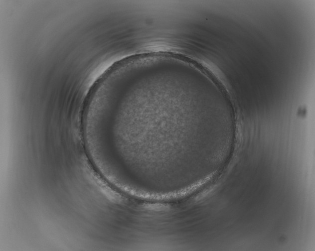 X0000111861023200909031746