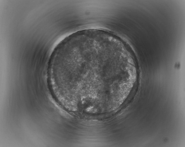 X0000111861024200909031746