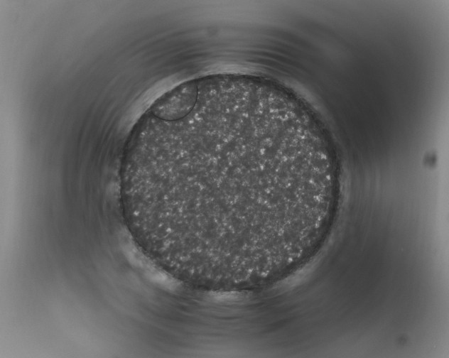 X0000111861025200909031746