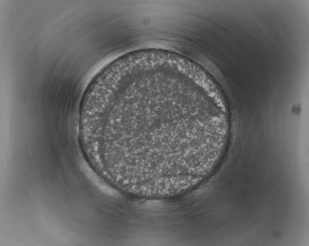 X0000111861028200909031746