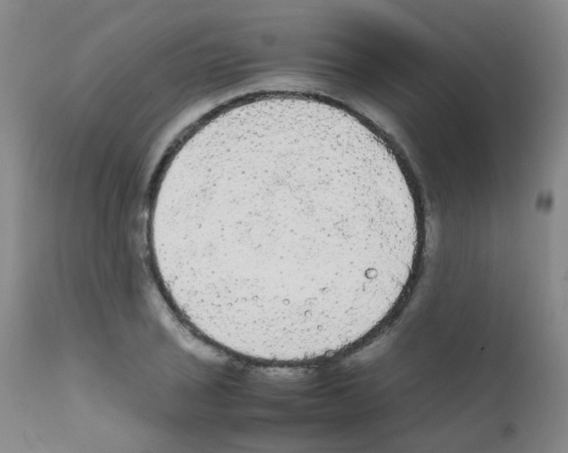 X0000111861029200909031746