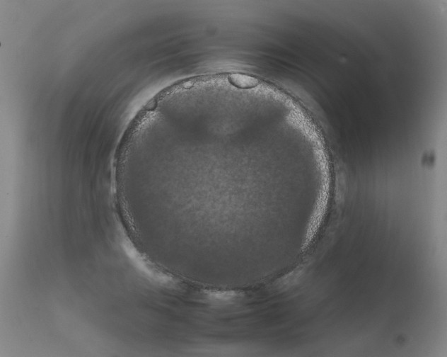 X0000111861031200909031746