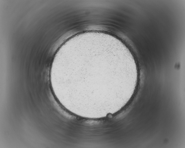 X0000111861033200909031746