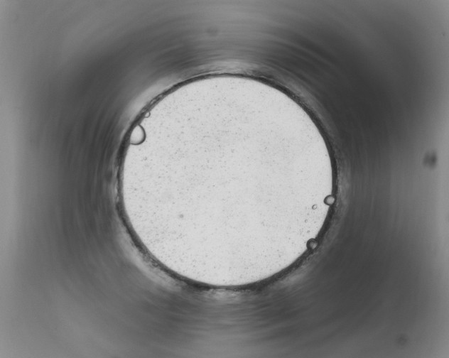 X0000111861034200909031746