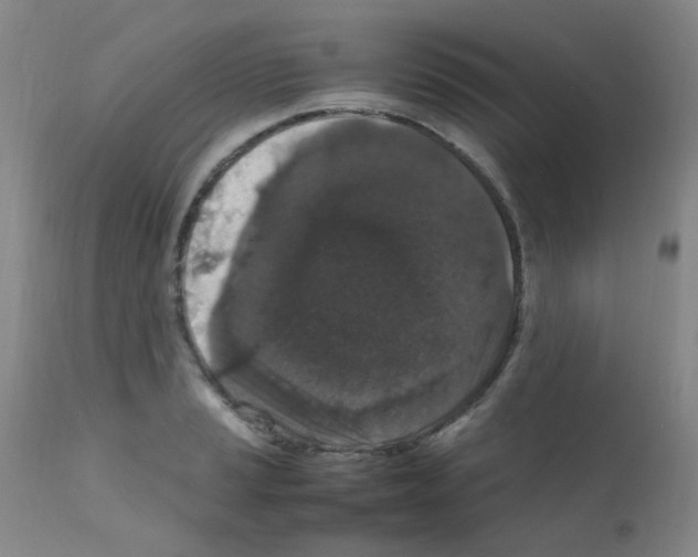 X0000111861037200909031746