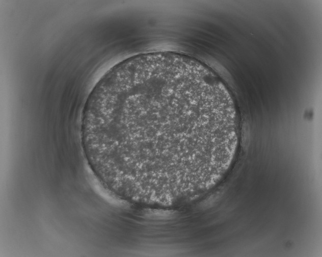 X0000111861039200909031746