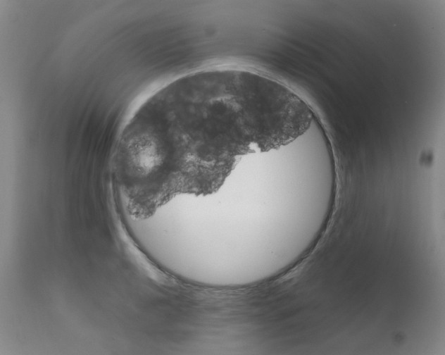 X0000111861040200909031746