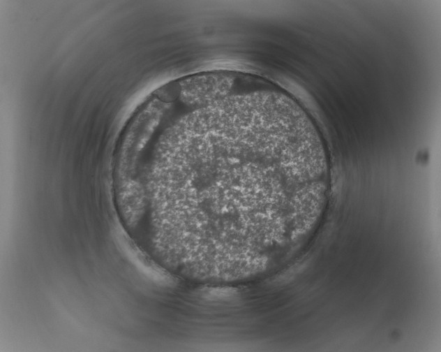 X0000111861043200909031746