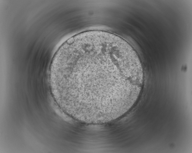 X0000111861044200909031746