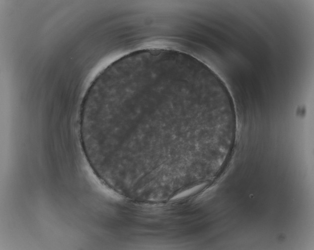 X0000111861045200909031746