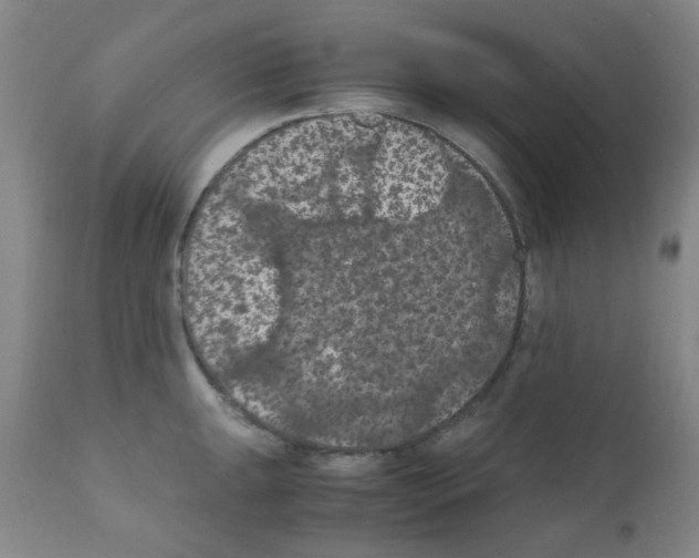 X0000111861047200909031746