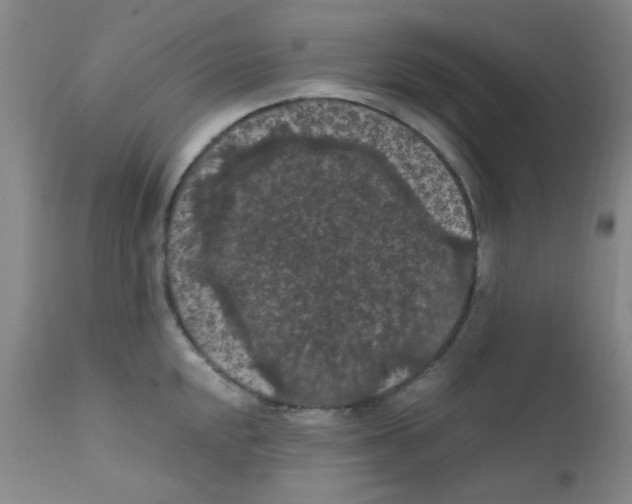 X0000111861048200909031747