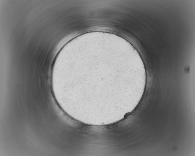 X0000111861050200909031747
