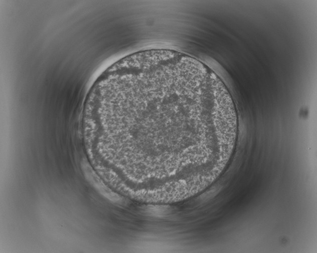 X0000111861052200909031747