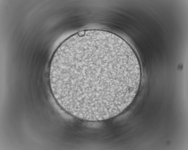 X0000111861053200909031747