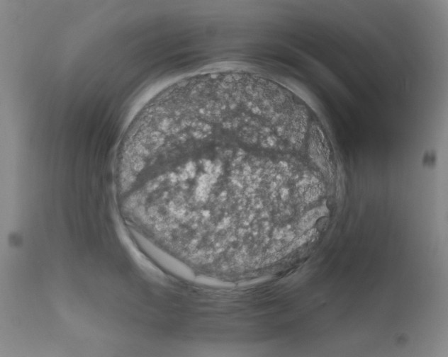 X0000111861055200909031747