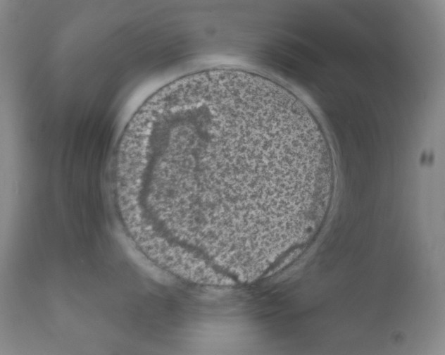 X0000111861056200909031747