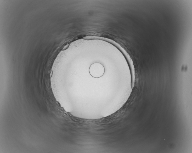 X0000111861057200909031746