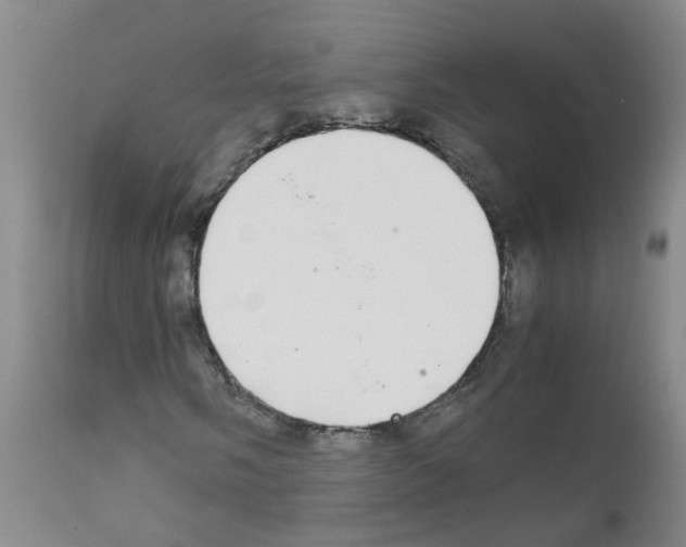 X0000111861058200909031746