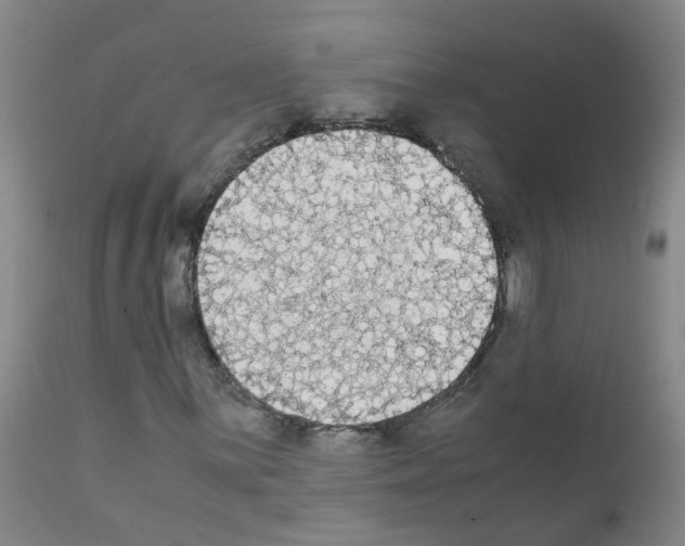 X0000111861059200909031746