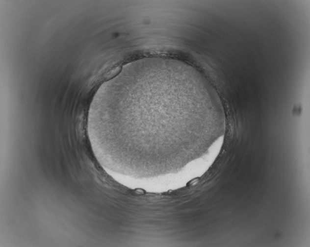 X0000111861060200909031746