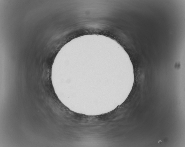 X0000111861061200909031746