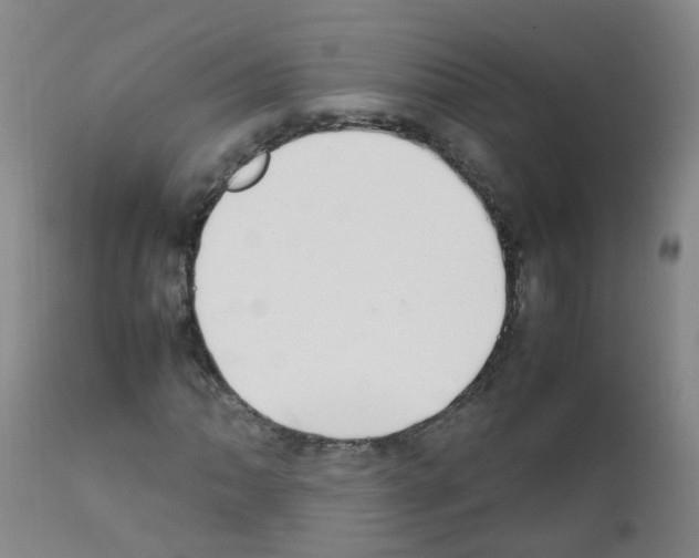 X0000111861062200909031746