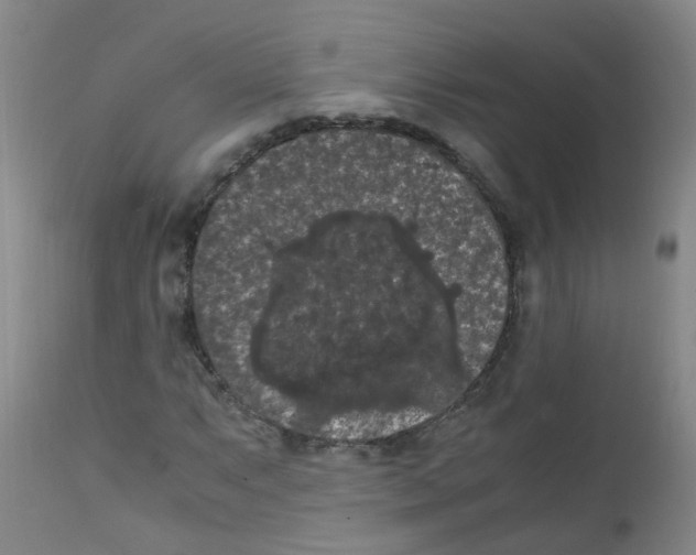 X0000111861063200909031746