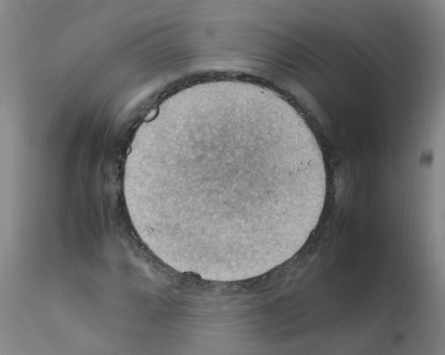 X0000111861064200909031746