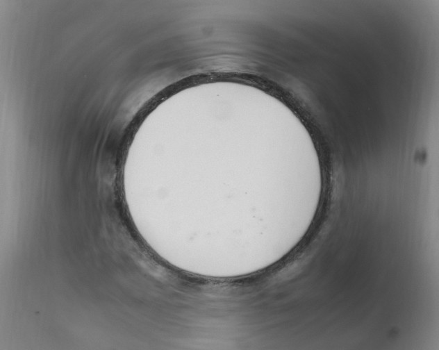 X0000111861065200909031746