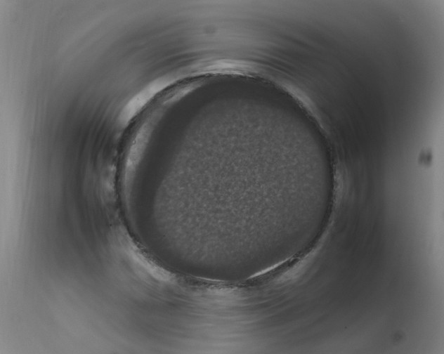 X0000111861066200909031746