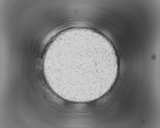 X0000111861067200909031746