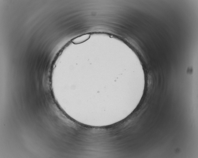 X0000111861068200909031746