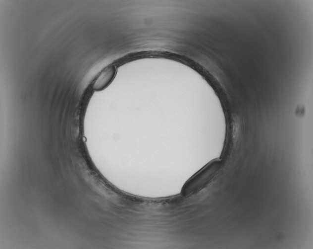 X0000111861069200909031746