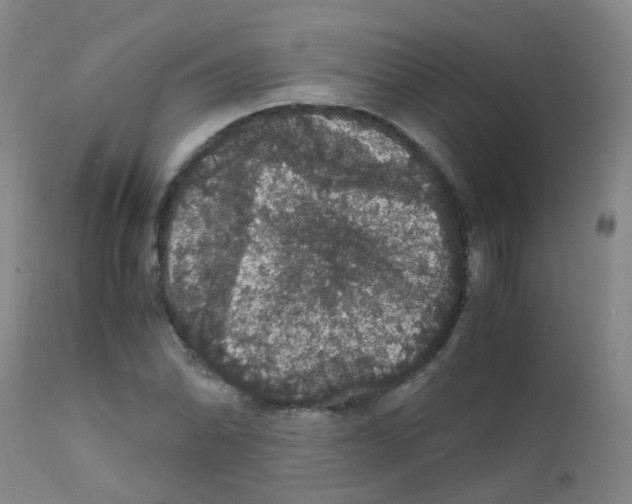 X0000111861070200909031746