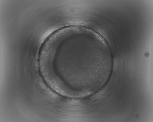 X0000111861071200909031746