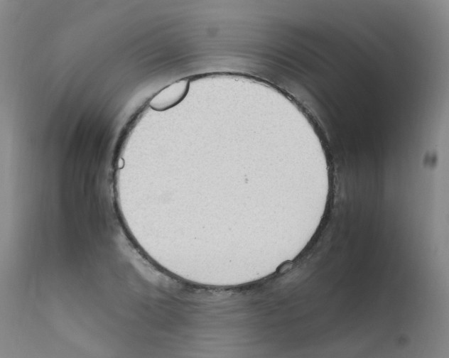 X0000111861072200909031746