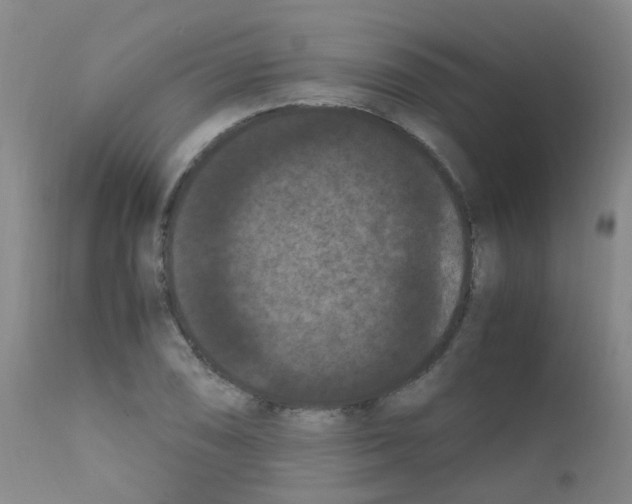 X0000111861074200909031746