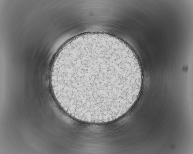X0000111861075200909031746