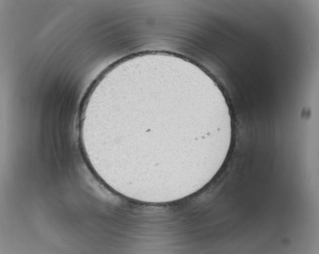 X0000111861076200909031746