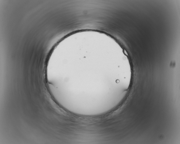 X0000111861077200909031746