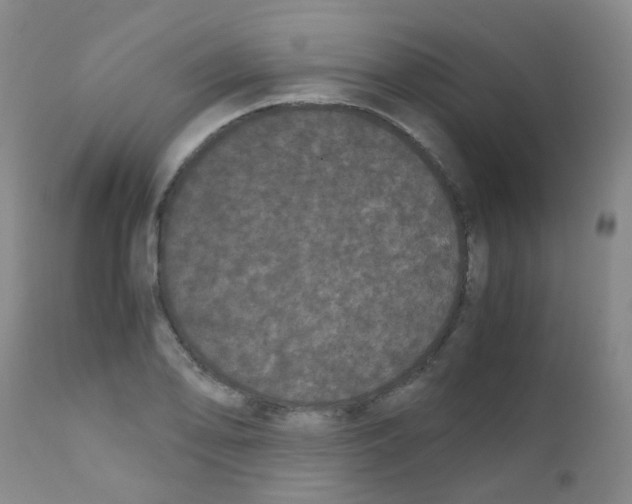 X0000111861078200909031746
