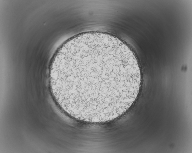 X0000111861079200909031745