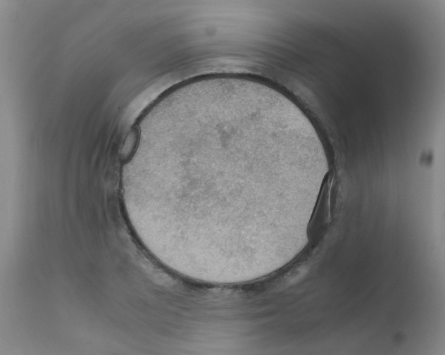 X0000111861081200909031745