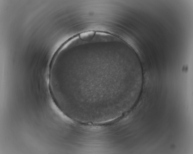 X0000111861084200909031745