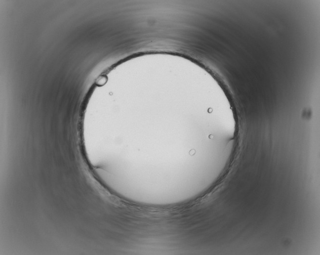 X0000111861085200909031745