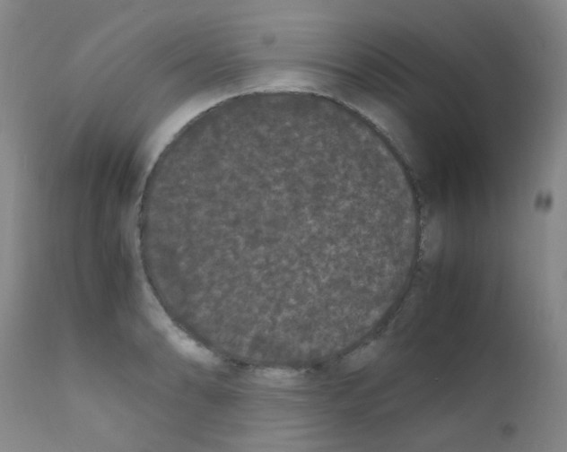 X0000111861086200909031745