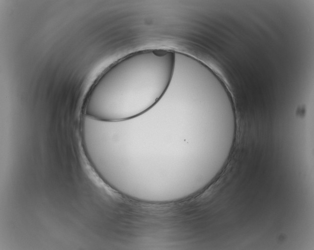 X0000111861088200909031745