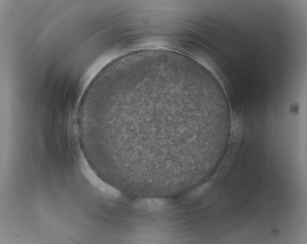 X0000111861090200909031745